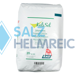 Kaliumchlorid KCl In Pharmaqualität, 2,5 Kg – E508, Für Lebensmittel & Labor